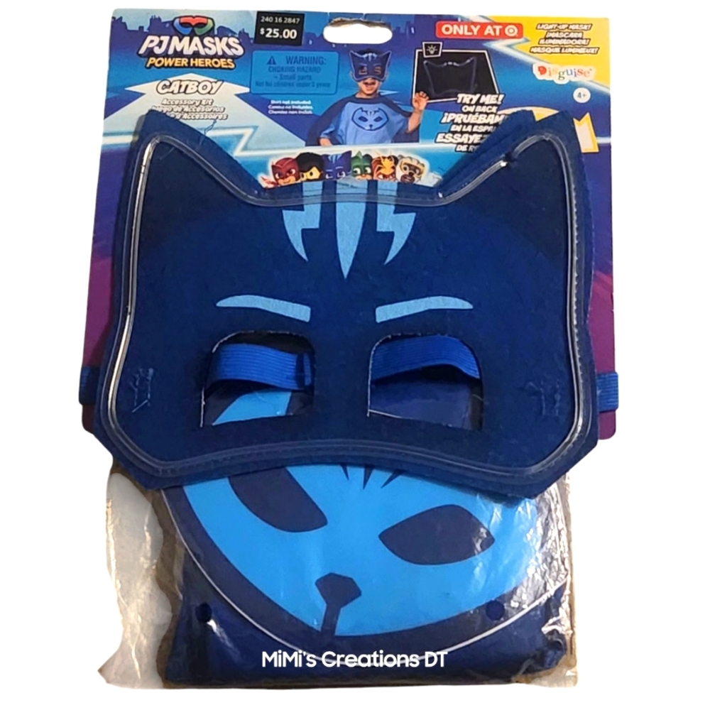 PJ Mask Cat Boy Costume